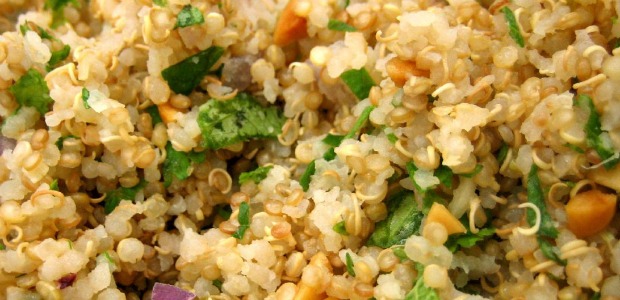 quinoa cocida con verduras 620-300