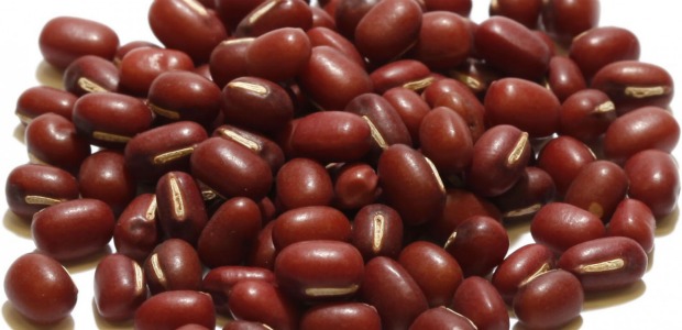 Adzuki-Beans 620+300
