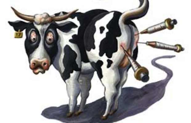 hormone injectios cows 620+400
