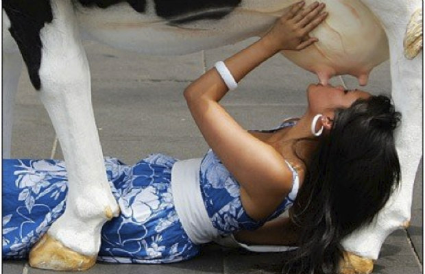woman drinking-milk-cow 620+400